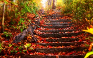 Autumn-steps