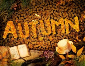 autumn image 3